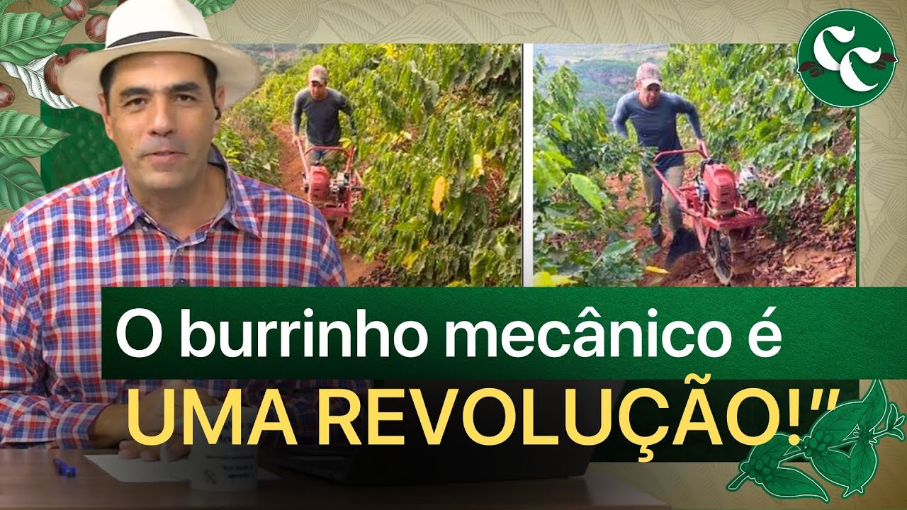 Mecanização: várias opções e valores