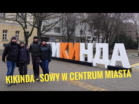 Sowi vlog#26 KIKINDA - ŚWIATOWA STOLICA SÓW