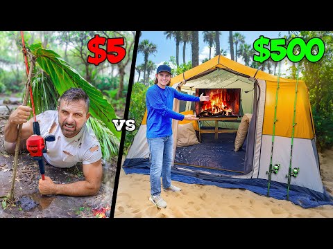 $5 vs $500 Walmart Budget Survival Challenge