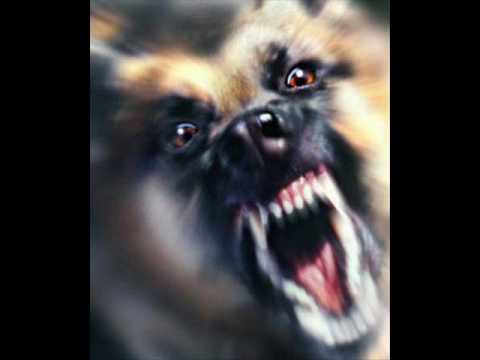 Pippo Pollina - Anni Settanta