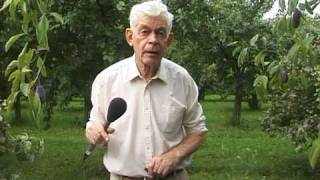 Imker Hayo Velthuis, Wellseind