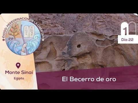 Día 22 📍Monte Sinaí, Egipto I El becerro de oro I Éxodo Peregrinación de la Libertad rumbo a Canaán