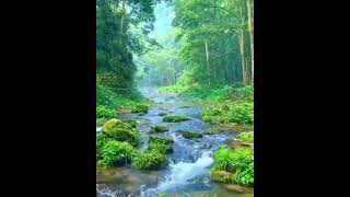 Download lagu Sungai yang sejuk mp3 Download lagu Sungai yang sejuk mp3