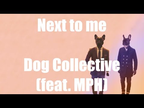 Next to Me - Dog Collective (feat. MPH) | LYRICS