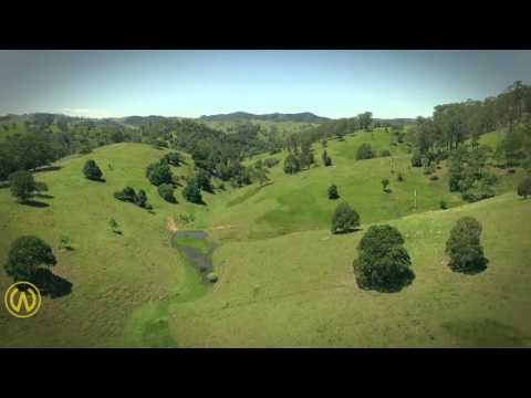 The Country Lane - $595,000