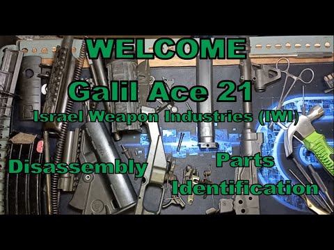 Galil Ace 21 Israel Weapon Industries (IWI) Disassembly and Parts Identification