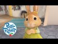 Peter Rabbit Lonely Cottontail Cartoons For Kids