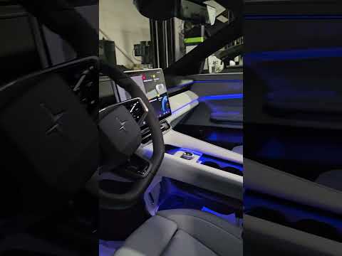 Polestar 4 Interior