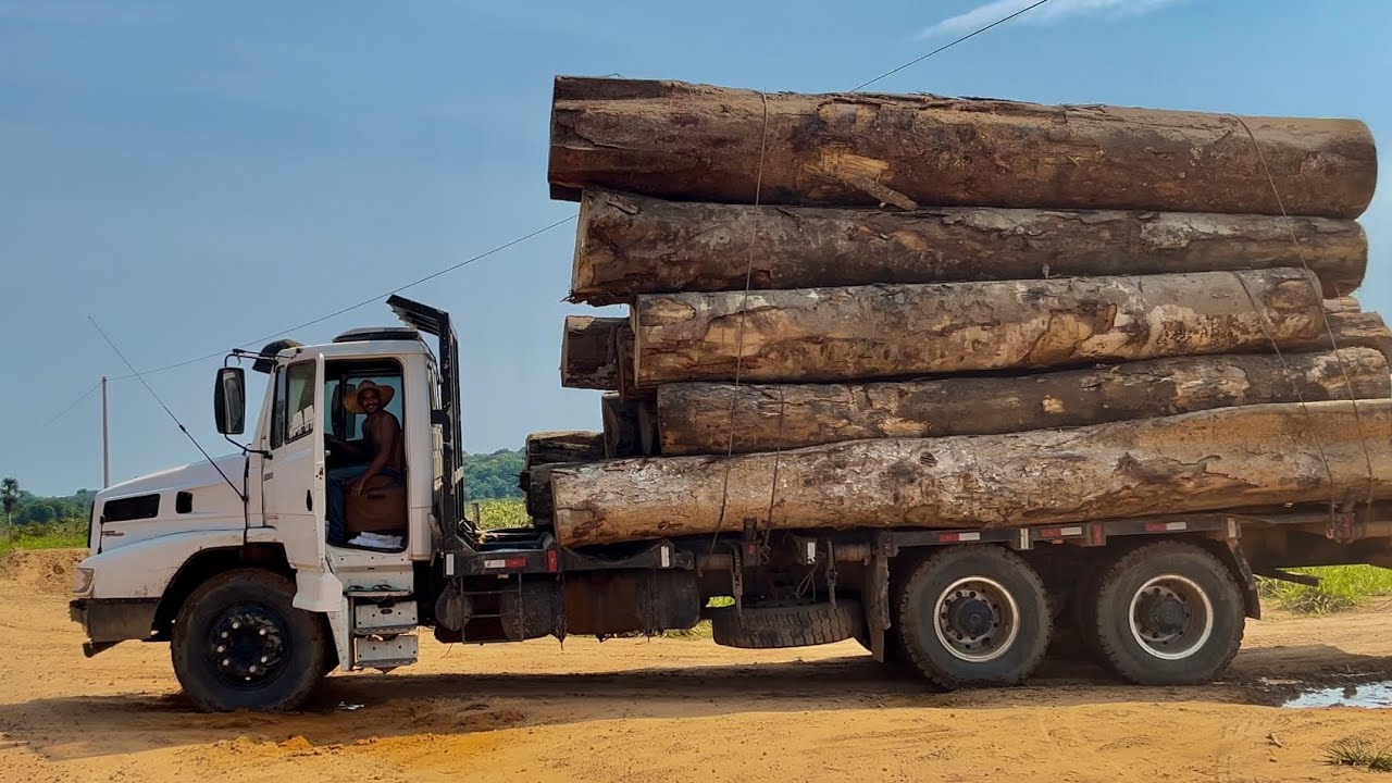 Caminhão Mercedes 2638 com uma Carga muito alta de madeira. Mafia da tora