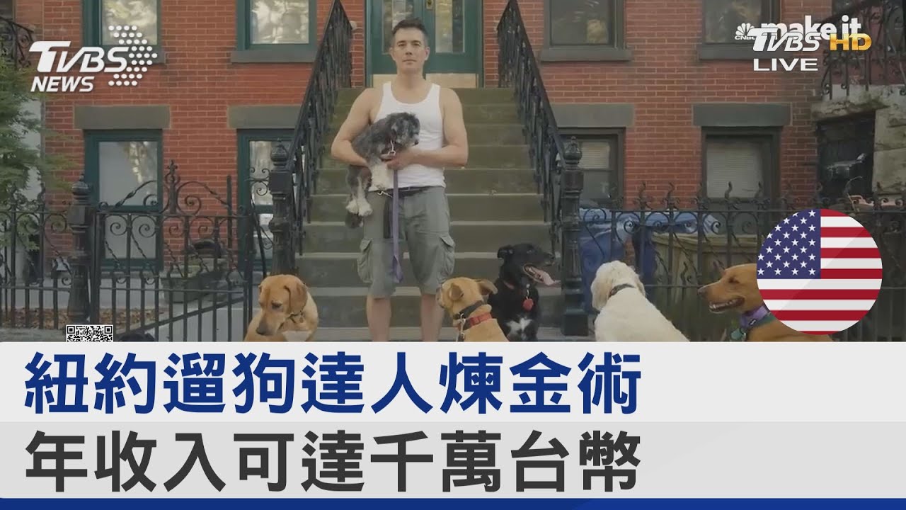 紐約遛狗達人煉金術 年收入可達千萬台幣