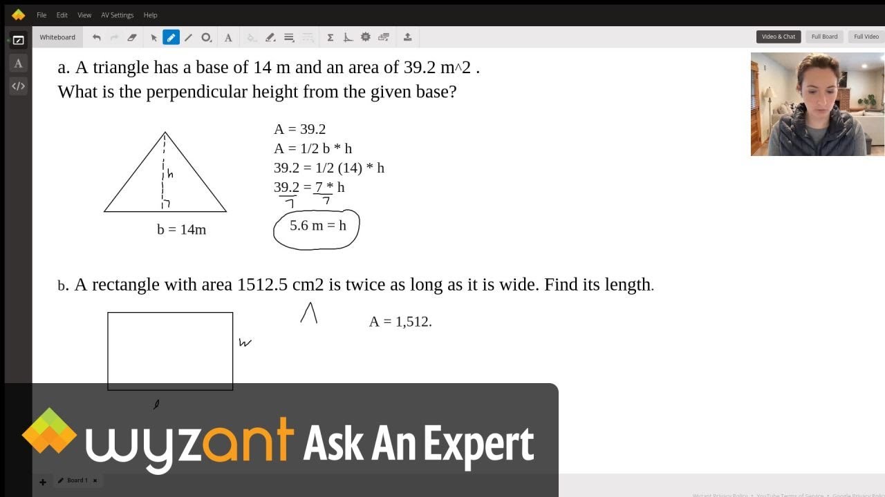 Area Problems with Triangles and Rectangles