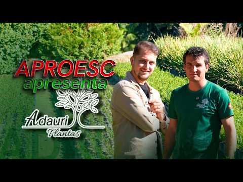Aproesc Apresenta: Conheça a Adauri Plantas, de Laurentino SC