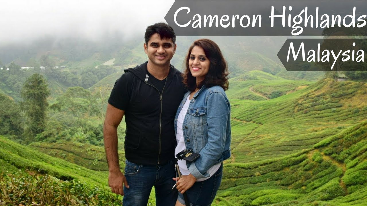 Best attractions in Cameron Highlands, Malaysia | Cameron Highlands Travel Vlog 2018