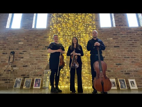 Yorkshire Violinist String Trio - A Thousand Years - Christina Perri