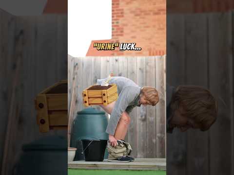 How pee can help your garden 💦 #shorts