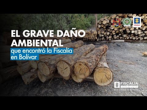 El grave daño ambiental que encontró encontró la Fiscalía en Bolívar