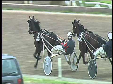 Trotto 22/10/2015 - 5° corsa