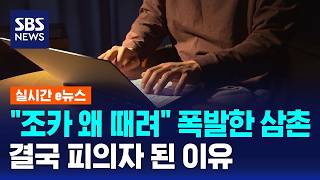 "조카 왜 때려" 폭발한 삼촌..결국 피의자 된 이유 / SBS / 실시간 e뉴스