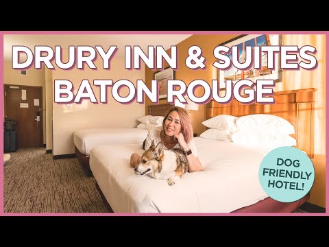 Drury Inn and Suites Baton Rouge:寵物友好型酒店評價 (Drury Inn and Suites Baton Rouge: Pet-Friendly Hotel Review)