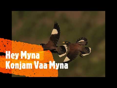 Hey Myna Konjam Vaa Myna