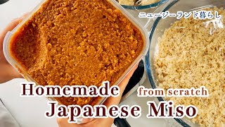 ニュージーランド暮らし|桜の季節|お得にフードロスを減らす|自家製味噌づくり