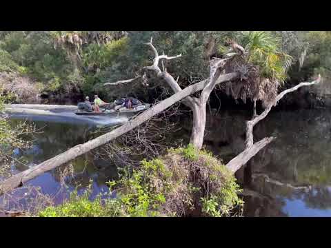 Venice, Florida. Sleeping Turtle Preserve.