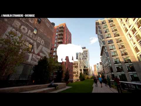 Maudlin Strangers - Overdose