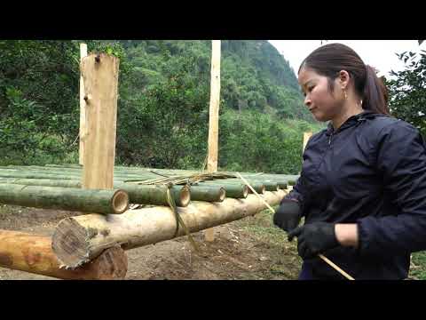 FULL VIDEO: 1 Month Building Complete Cabin & Breeding Farm, Wild Boars | Triệu Thị Thu