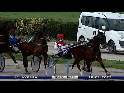 Aversa trotto 18 Gennaio 2023 - 1° Corsa