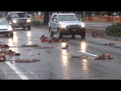 Sarasota, FL Heavy Rain and Hight Winds from storm moving on shore - 1/9/2016