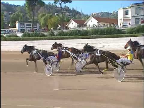 Trotto 12/09/2017 - 4ª corsa