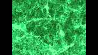 Michael Jackson I Hear A Symphony