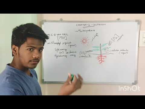 PHOTOSYNTHESIS BY PHANINDRA