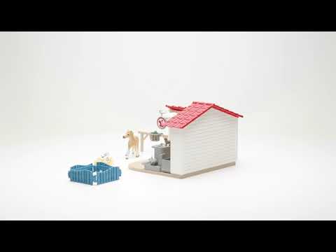 Veterinarian Practice with Pets