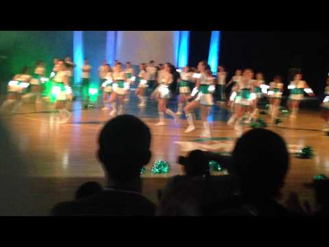 Medikus Kupa 2013 Pecs, Cheerleaders