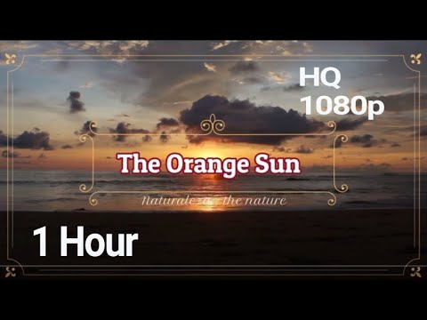 1 HOUR | The Orange Sun | Study Relaxing Ambient Music with Beautiful Dusk View |NaturalezaTheNature