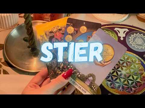 STIER 😍Stille…Stille…und dann – BUMM! – wie aus dem Nichts eine schockierende Enthüllung