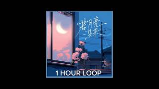 Download lagu 若月亮没来(若是月亮还没来)- 1 HOUR LOOP mp3 Download lagu 若月亮没来(若是月亮还没来)- 1 HOUR LOOP mp3