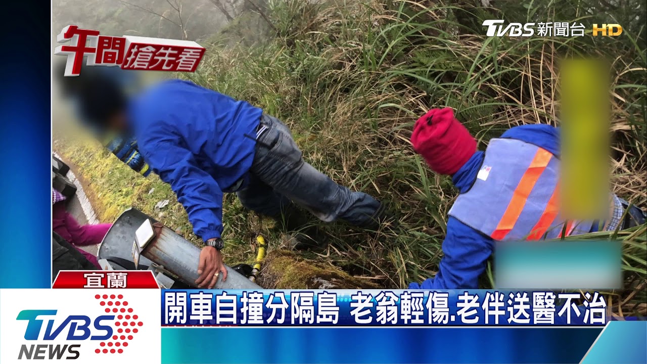 開車恍神！一家三口墜太平山谷　卡樹獲救