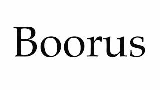 How to Pronounce Boorus