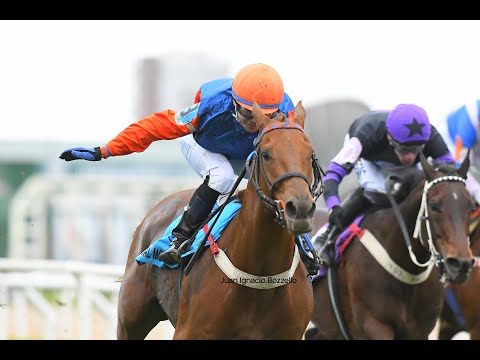 Clásico General Pueyrredón (G3) 2025 - Equal Mostaza (Equal Stripes)