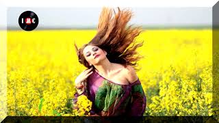 Hard to Let Go ~ Volcan Peaks