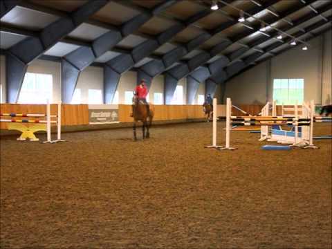 Arbeidsuke på stall Gullik!