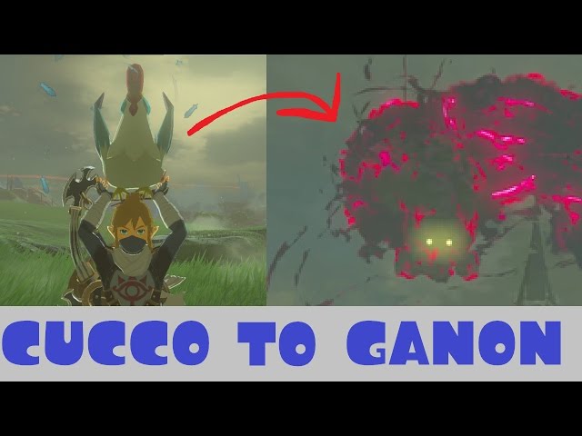 Video Pronunciation of Cucco in English Video Pronunciation of Cucco in English