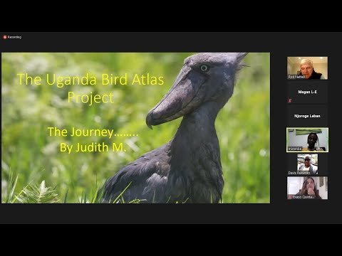 4th BDI Citizen Scientist Hour  - Judith Mirembe - Ugandan Bird Atlas