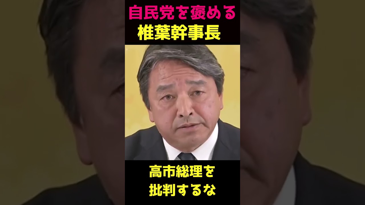 【椎葉幹事長】自民党の働きを褒める【国民民主党】