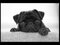 Saycet - Opal (Error :: Love - Opalowsky Remix ...