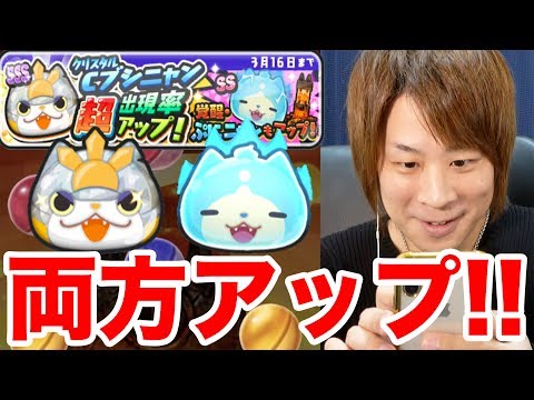 ぷにぷに超アップCブシニャン!!覚醒ぷにニャンもアップ中【妖怪ウォッチぷにぷに】Yo-kai Watch スコアアタックも part391とーまゲーム