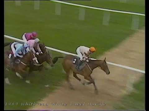 1989 Whitbread White Label Hurdle (Now Greatwood Hurdle)
