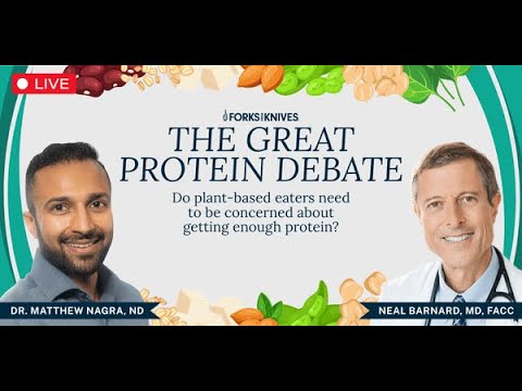 Which Protein Is Best For You?